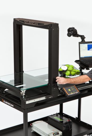 Mann vermisst Tennisbälle mit dem CubiScan 325